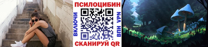 Галлюциногенные грибы Psilocybine cubensis  что такое наркотик  Топки 